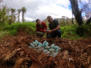 Dinosaurs of Antartica Producers, Deborah Raksany and Andy Wood, prepare a cryolophosaurus nest site. (courtesy Giant Screen Films)